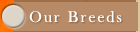 Our Breeds