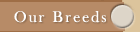 Our Breeds