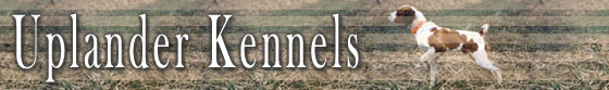 Uplander Kennels