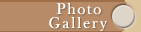 Photo Gallery