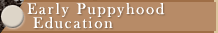 Early Puppyhood Education