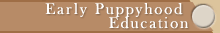 Early Puppyhood Education